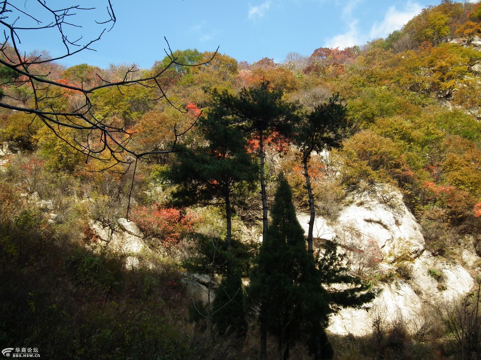 游山玩水 随羚羊户外穿越太兴山 马户驴 金币 1 2010-11-22 隐藏