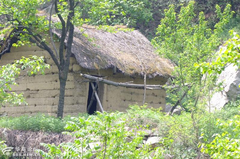 新都皇恩寺婚纱_成都皇恩寺陵园地址(3)