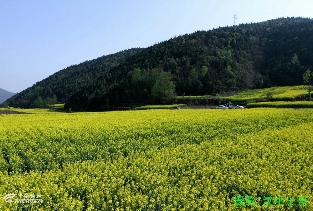 陈村春色-南郑县阳春镇陈村水库d.