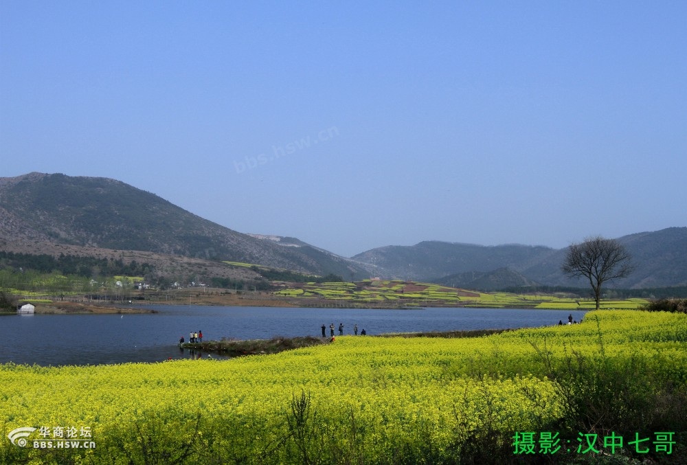 陈村春色-南郑县阳春镇陈村水库d.