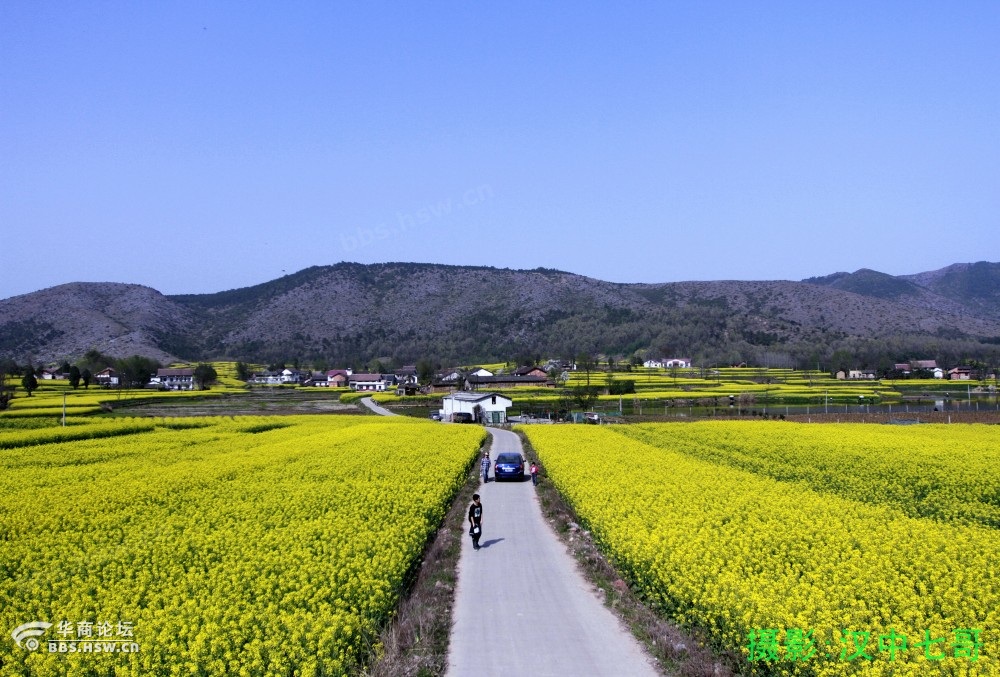 陈村春色-南郑县阳春镇陈村水库d.