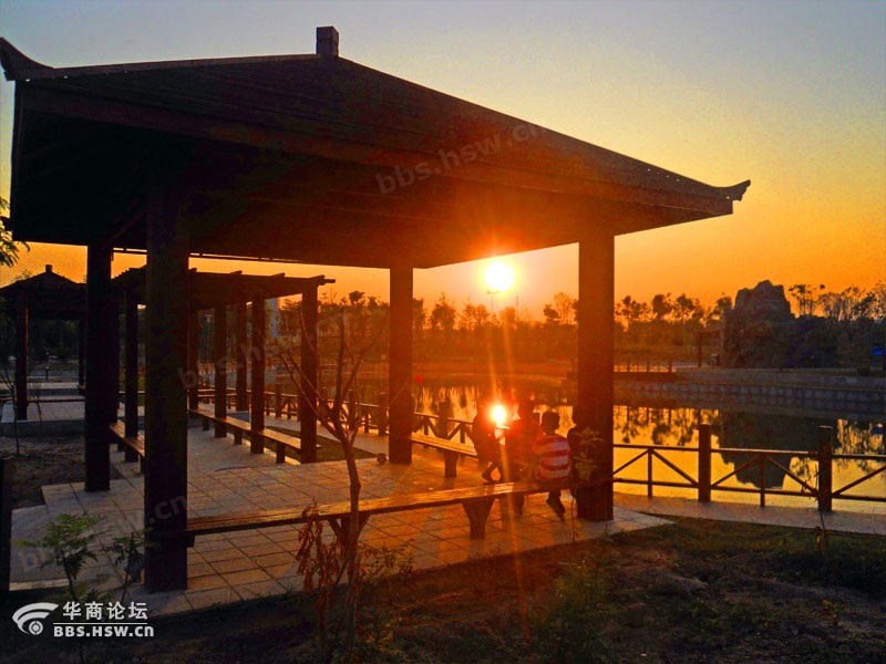 眷恋夕阳之老根_眷恋夕阳老岳父蛋蛋_眷恋夕阳同盟老爹爹_鹊桥吧