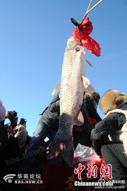 重庆婚纱摄影_重庆雪地婚纱秀(2)