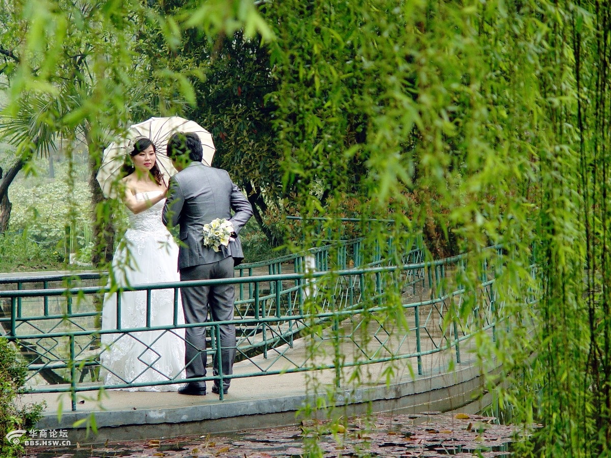 北京植物园_植物园 婚纱(2)