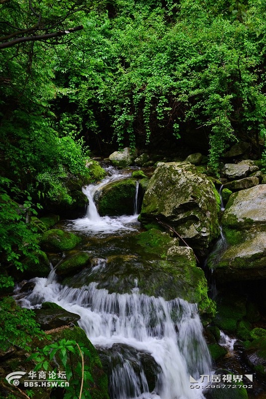 ◣九岳视界 黑峪沟观瀑,曲径通幽雨中行