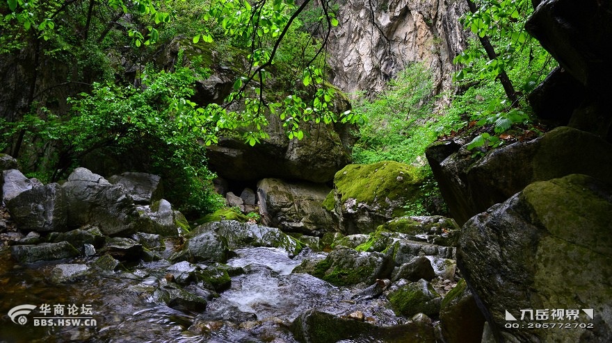 ◣九岳视界◥黑峪沟观瀑曲径通幽雨中行