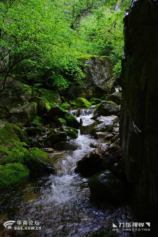 ◣九岳视界◥黑峪沟观瀑曲径通幽雨中行