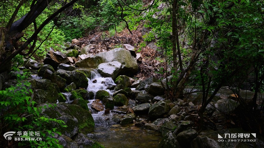 ◣九岳视界 黑峪沟观瀑,曲径通幽雨中行