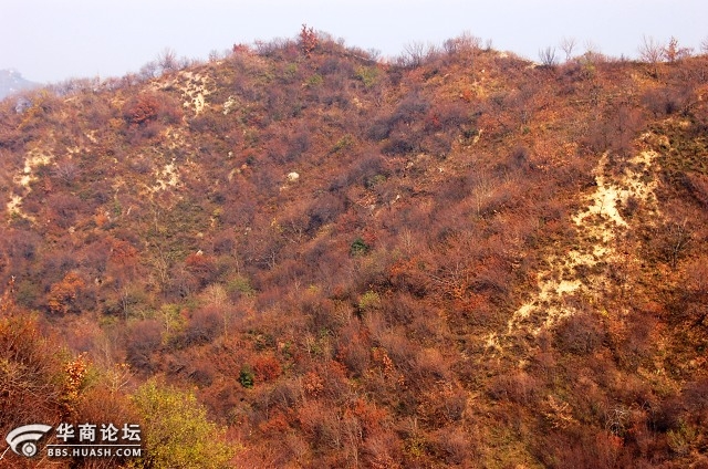 新都皇恩寺婚纱_成都皇恩寺陵园地址(3)