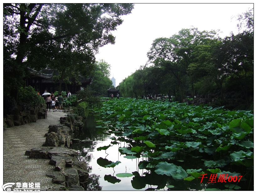 豪宅意境：鈥溩菊鈥澥蔷瑁