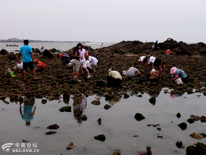 西安吃海鲜去哪_深圳澳头吃海鲜_吃海鲜