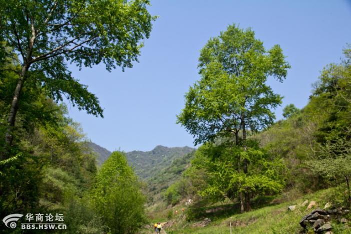 主题:去蓝田五凤山破解千年神话