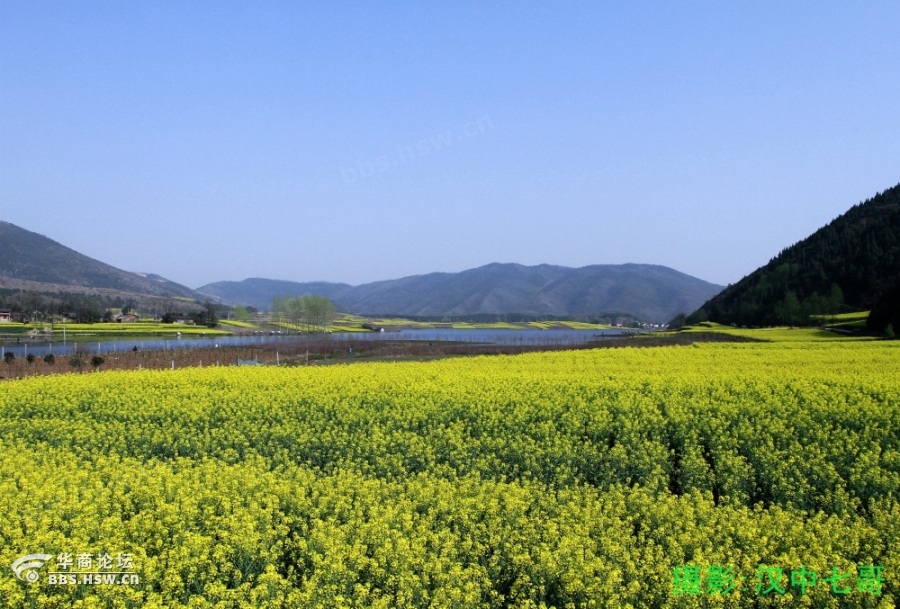 陈村春色-南郑县阳春镇陈村水库d.