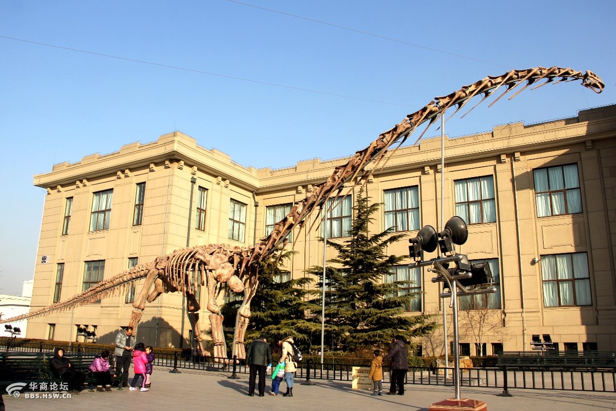 北京自然博物馆照片图片