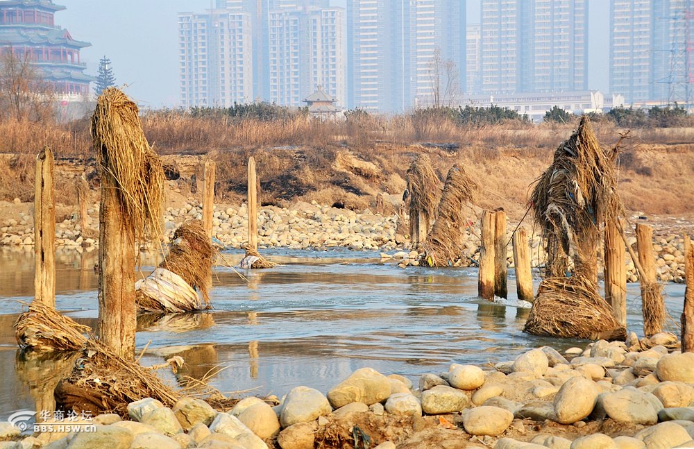 咸陽古渡遺址