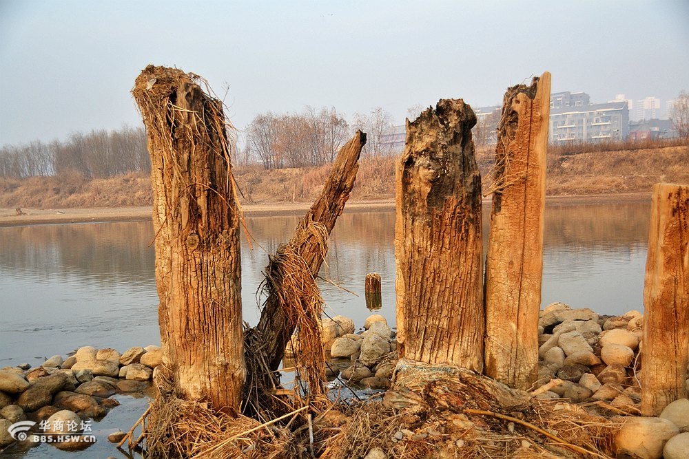 咸陽古渡遺址