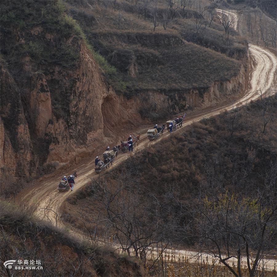 黄土高原赶牲灵图片图片