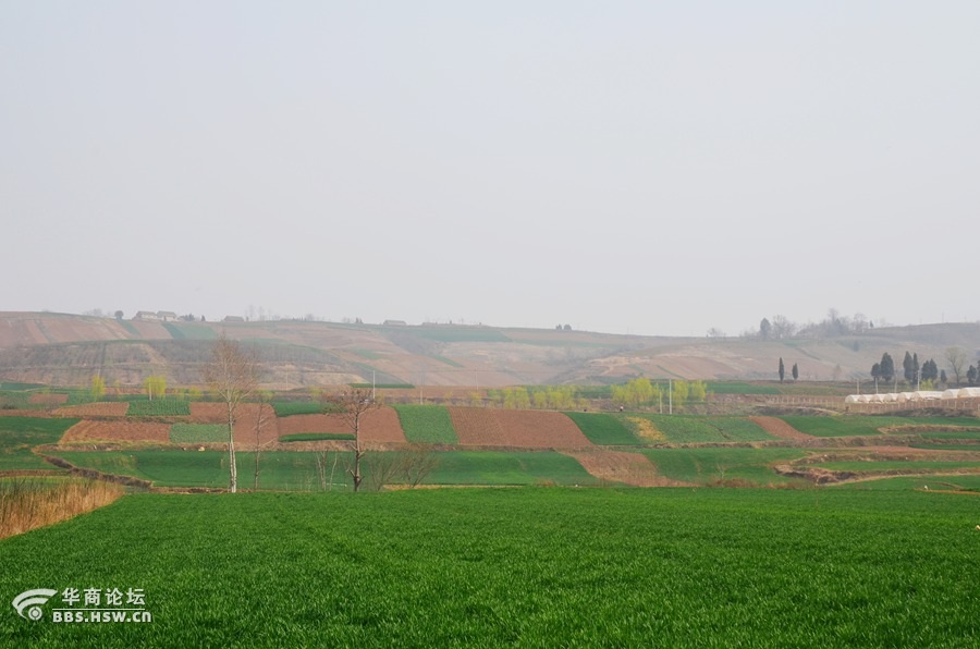 蓝田骆驼岭图片