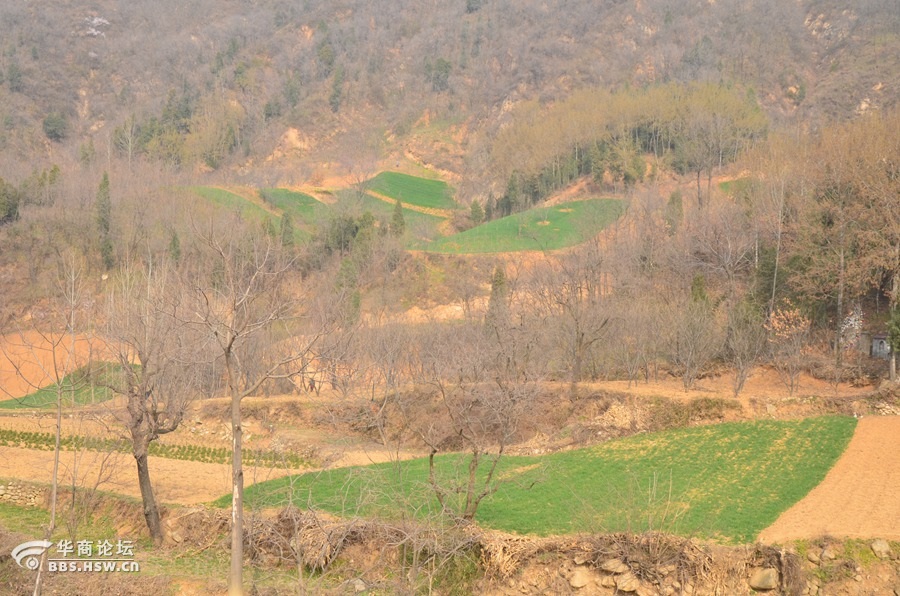 蓝田骆驼岭图片