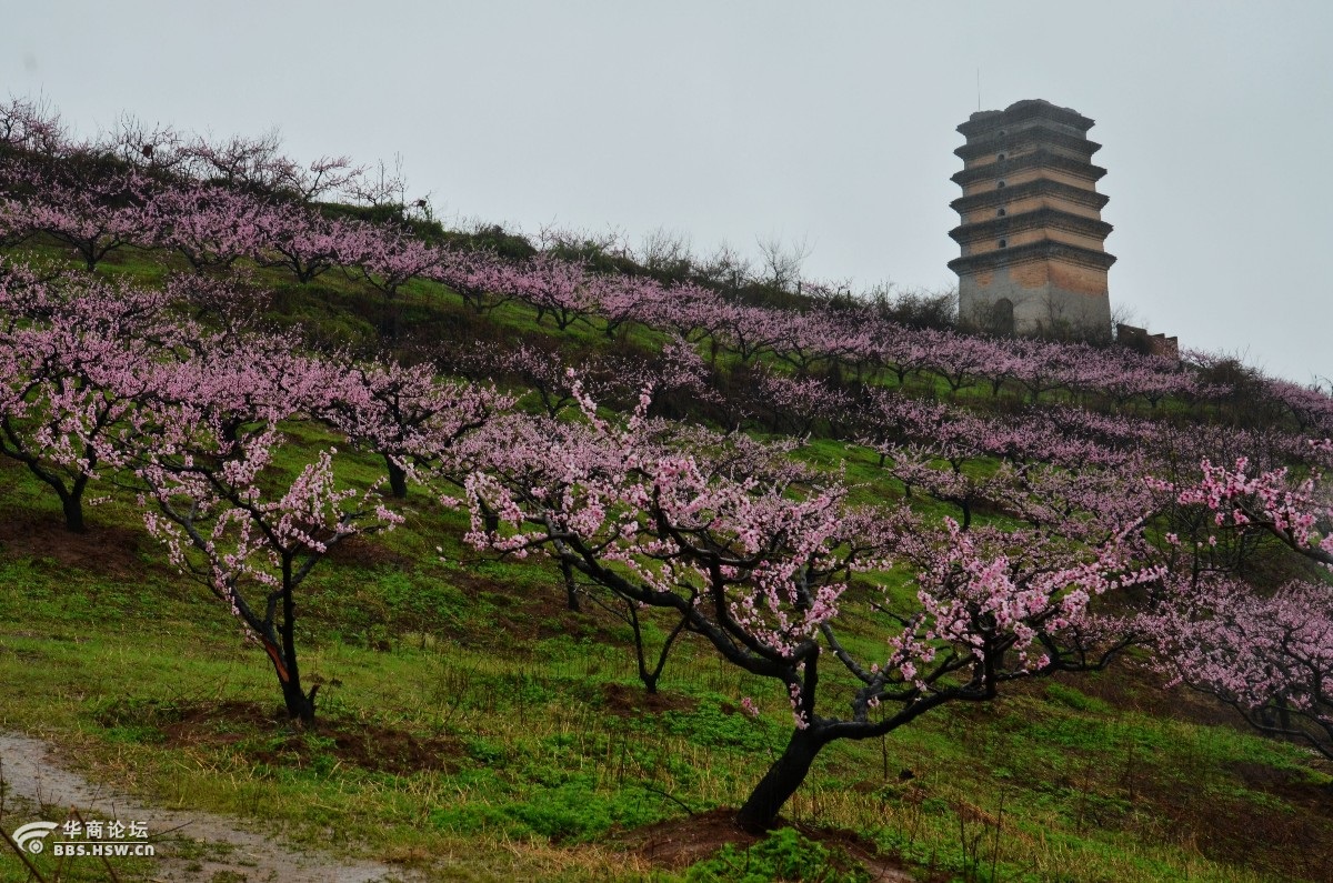 土门峪二龙塔图片