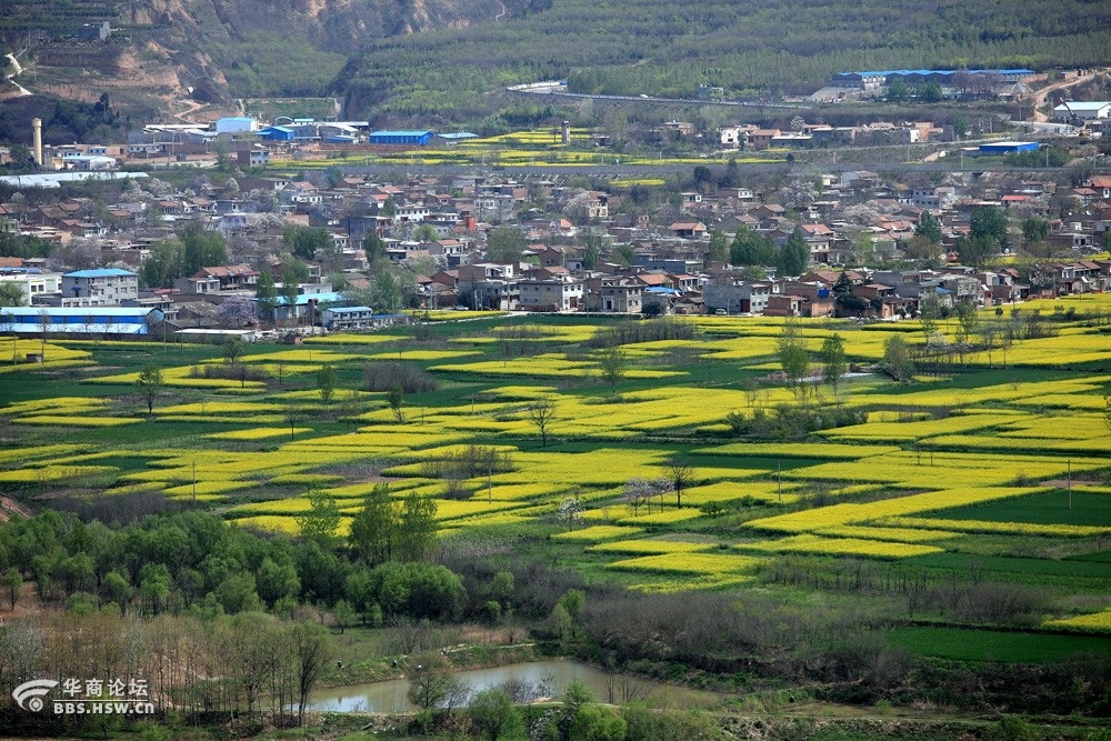 杜陵塬图片