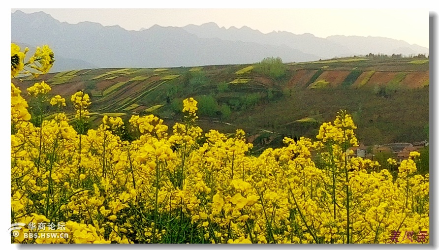 蓝田徐家山风景图片