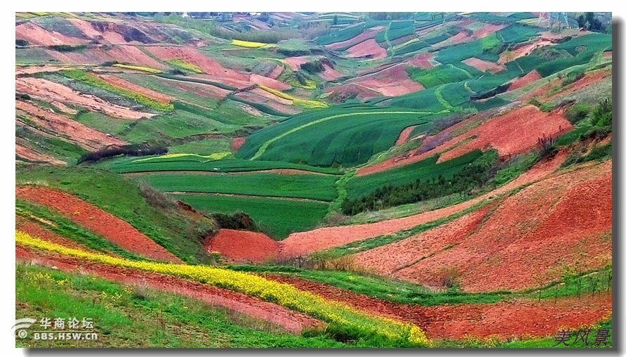 蓝田徐家山风景图片