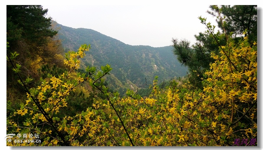 蓝田徐家山风景图片