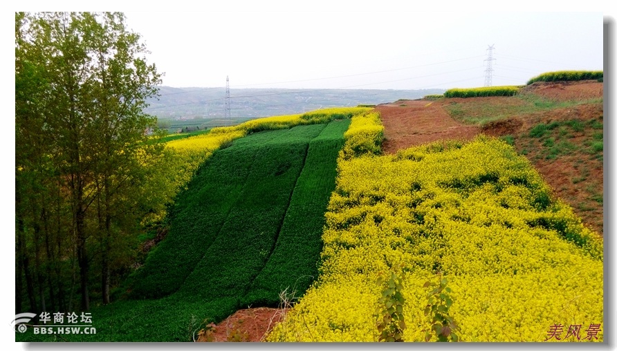 蓝田徐家山风景图片