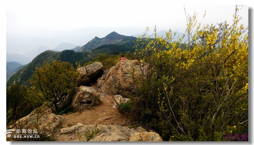 蓝田徐家山风景图片