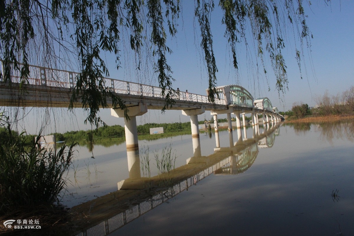 灞桥生态湿地公园图片图片