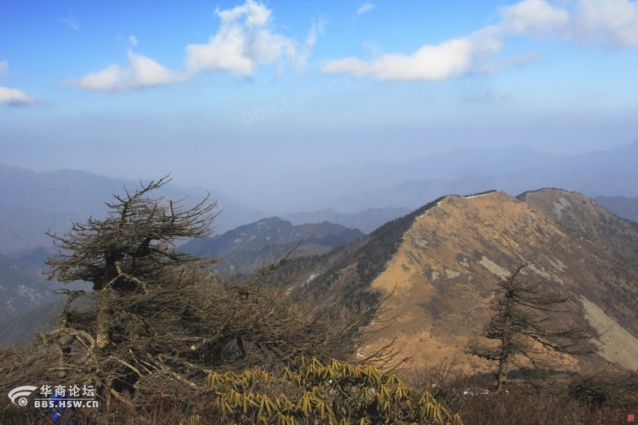 秦岭东梁-二梁-游山玩水-华商论坛