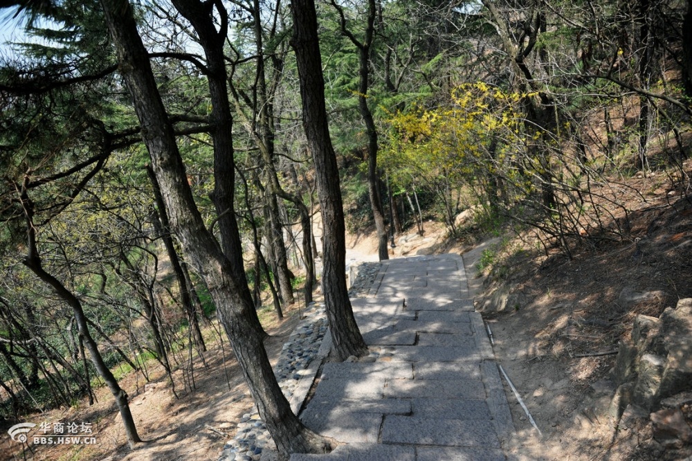 青島信號山公園遊記